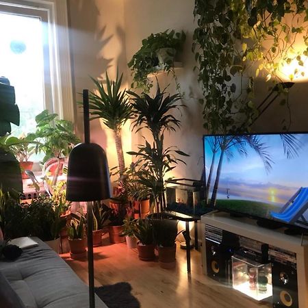 Urban Jungle Oasis In Queens! Apartment Ню Йорк Екстериор снимка