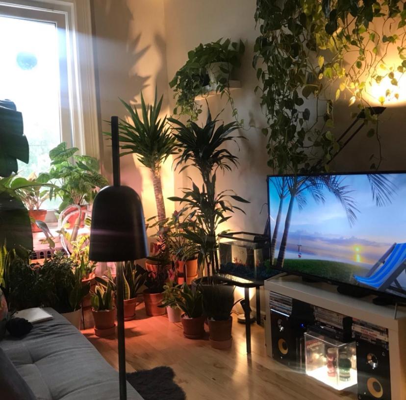Urban Jungle Oasis In Queens! Apartment Ню Йорк Екстериор снимка