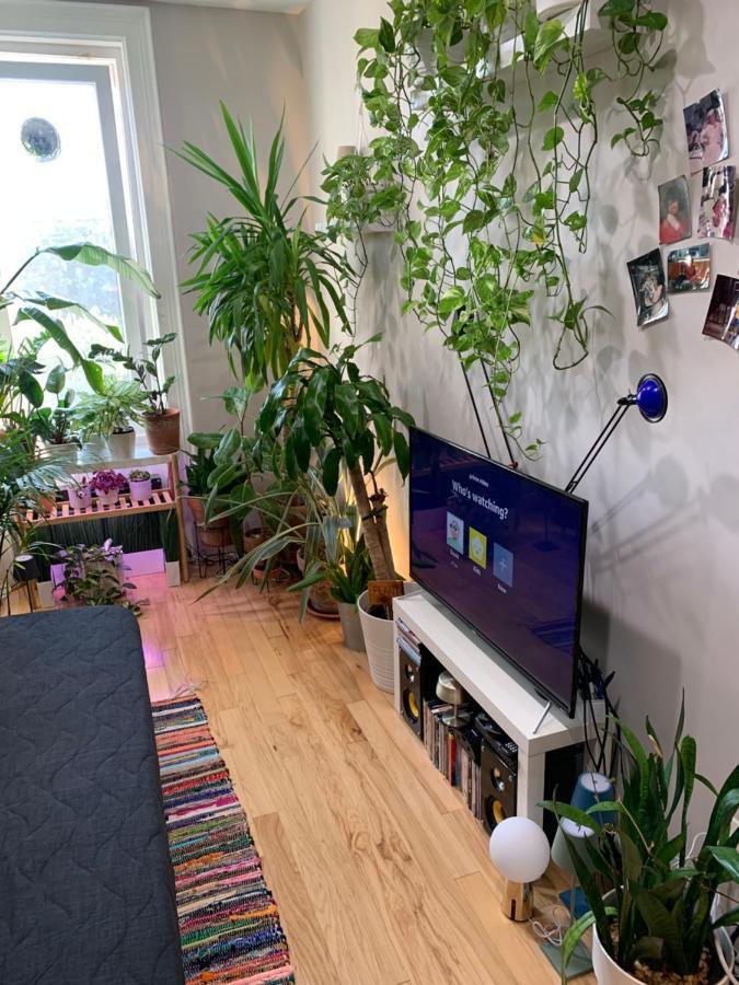 Urban Jungle Oasis In Queens! Apartment Ню Йорк Екстериор снимка